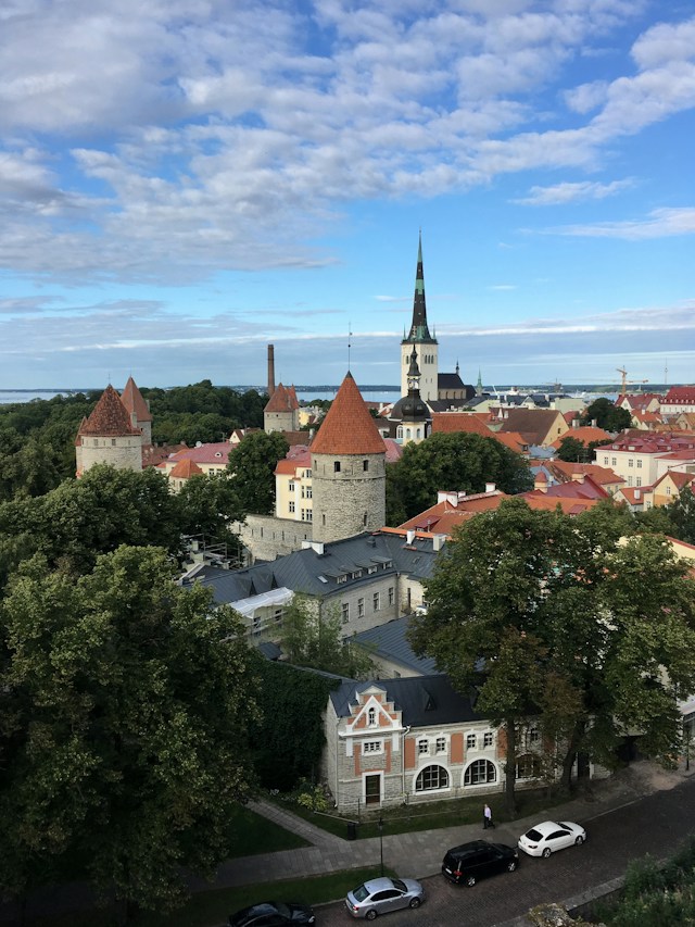 Tallinn Old Town rooftops and medieval towers beneath a blue sky